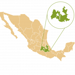 Estado de Mexico - Puebla